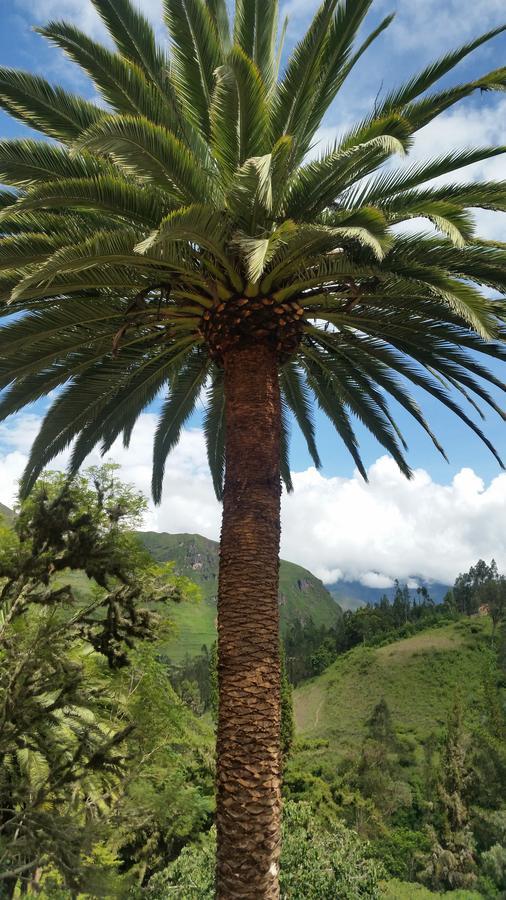 El Encanto Sorata Εξωτερικό φωτογραφία